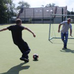 dander ball 220