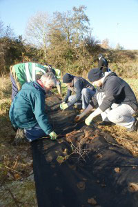 Hedgerow Hopes in Antrim 2