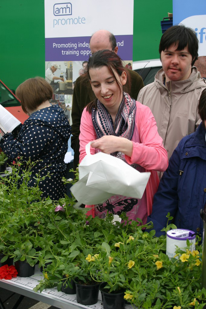 AMH Promote Bangor Market