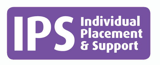 Individual Placement Support