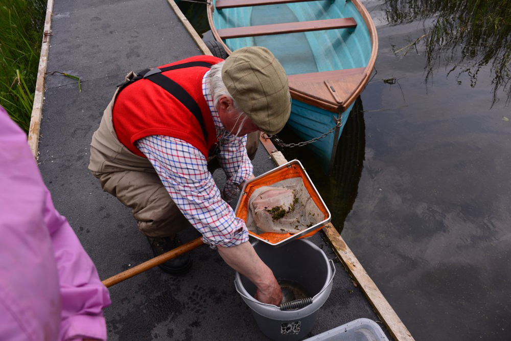 Fly Fishing Fermanagh 2